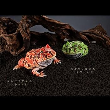 Amazon | いきもの大図鑑アドバンス ツノガエル 全4種類 リアル